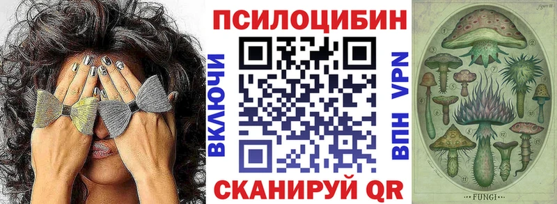 купить наркоту  Избербаш  Галлюциногенные грибы Psilocybe 