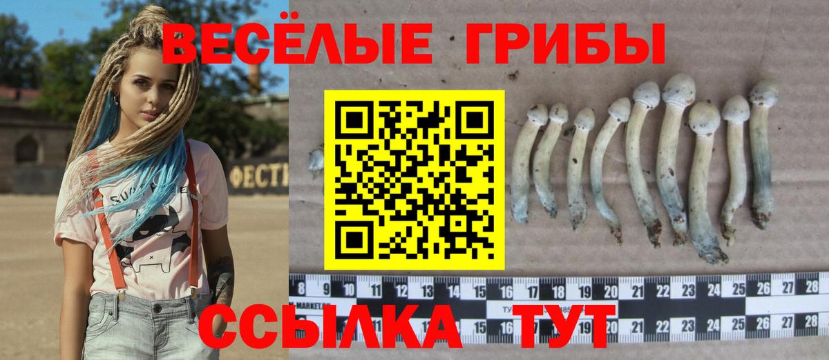 Псилоцибиновые грибы мухоморы  Вход с VPN  Избербаш 