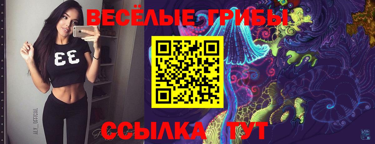 Псилоцибиновые грибы Psilocybe Избербаш